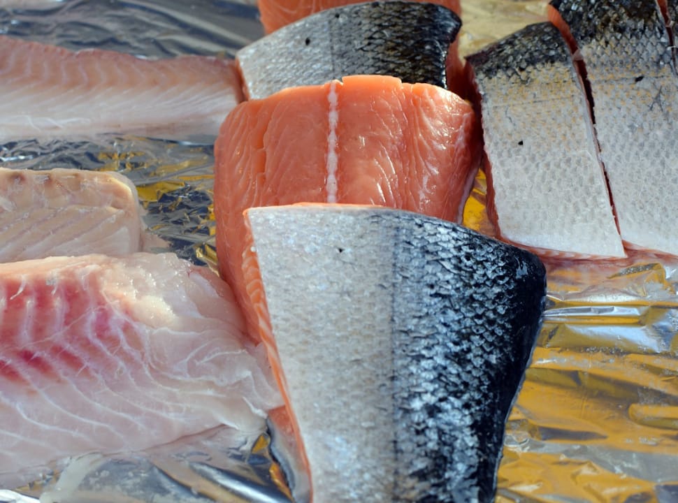 chopped-salmon-fish